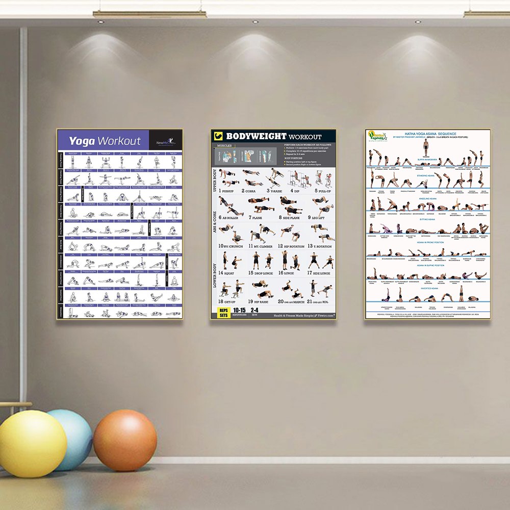 Gym Yoga Studio Workout Detail – обзор и цена Home Gym Yoga Studio