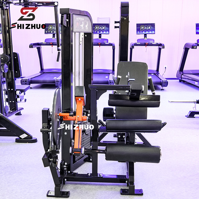 Workout Fitness Club Indoor Pi – обзор и цена Vertical Leg Press